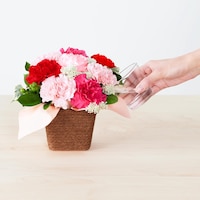https://image.uniqlo.com/UQ/ST3/jp/imagesgoods/483865/feature/jpgoods_483865_feature3.jpg