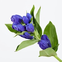 https://image.uniqlo.com/UQ/ST3/jp/imagesgoods/484180/feature/jpgoods_484180_feature2.jpg