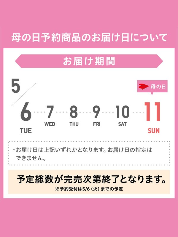 【予約商品】母の日アジサイ(5/6-11お届け)