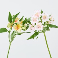 https://image.uniqlo.com/UQ/ST3/jp/imagesgoods/491105/feature/jpgoods_491105_feature1.jpg