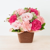 https://image.uniqlo.com/UQ/ST3/jp/imagesgoods/491108/feature/jpgoods_491108_feature1.jpg