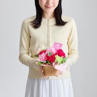 https://image.uniqlo.com/UQ/ST3/jp/imagesgoods/491110/feature/jpgoods_491110_feature2.jpg