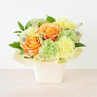 https://image.uniqlo.com/UQ/ST3/jp/imagesgoods/491341/feature/jpgoods_491341_feature1.jpg