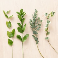https://image.uniqlo.com/UQ/ST3/jp/imagesgoods/491343/feature/jpgoods_491343_feature1.jpg
