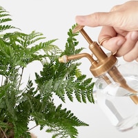 https://image.uniqlo.com/UQ/ST3/jp/imagesgoods/491355/feature/jpgoods_491355_feature1.jpg