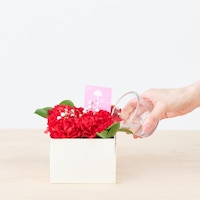 https://image.uniqlo.com/UQ/ST3/jp/imagesgoods/491968/feature/jpgoods_491968_feature1.jpg