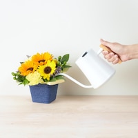 https://image.uniqlo.com/UQ/ST3/jp/imagesgoods/493434/feature/jpgoods_493434_feature1.jpg