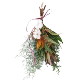 季節のおすすめ