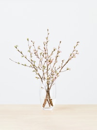 季節のおすすめ