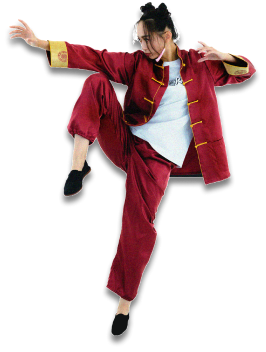 STREET FIGHTER ROUND 2