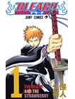 BLEACH