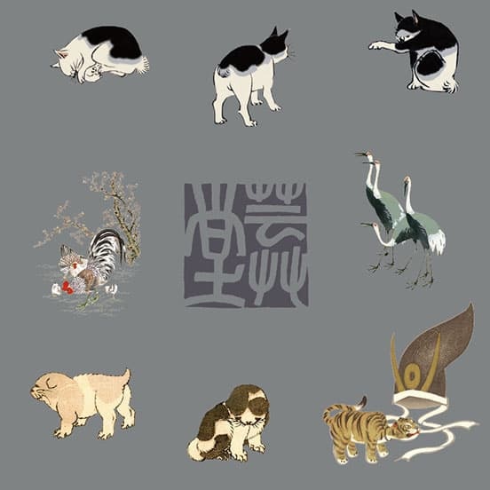 和柄（動物）UT
