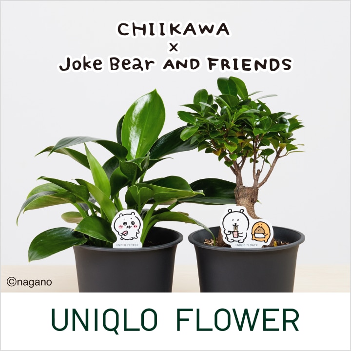 UNIQLO FLOWER