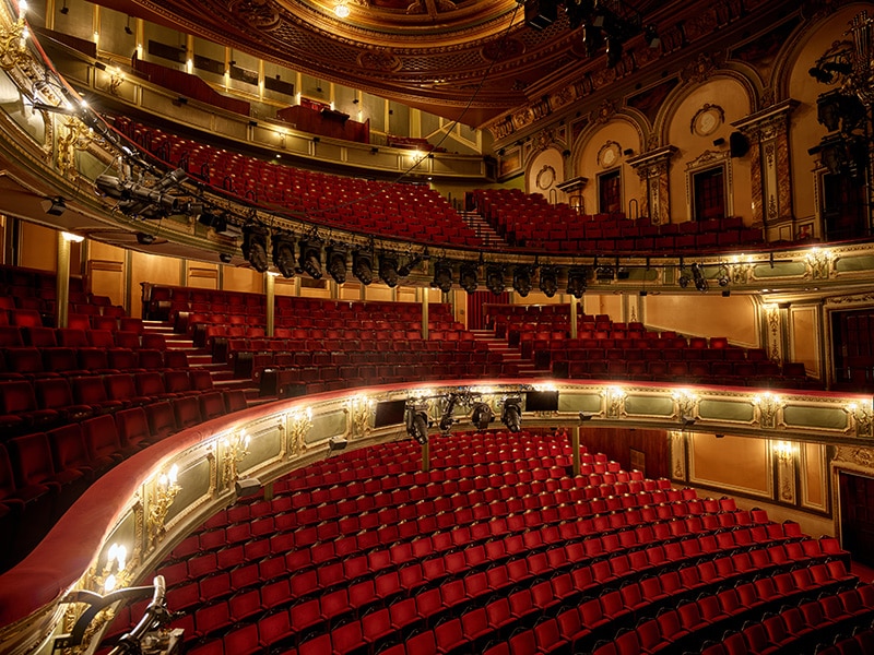 Into the World of Classic Musicals