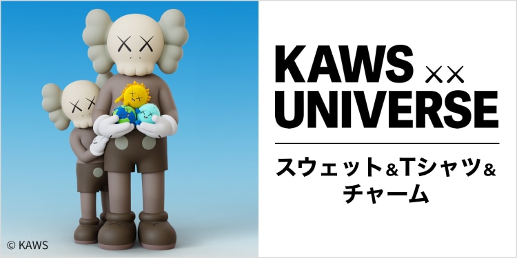 KAWS UNIVERSE