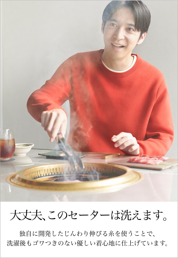 ウォッシャブルミラノリブセーター 新聞広告