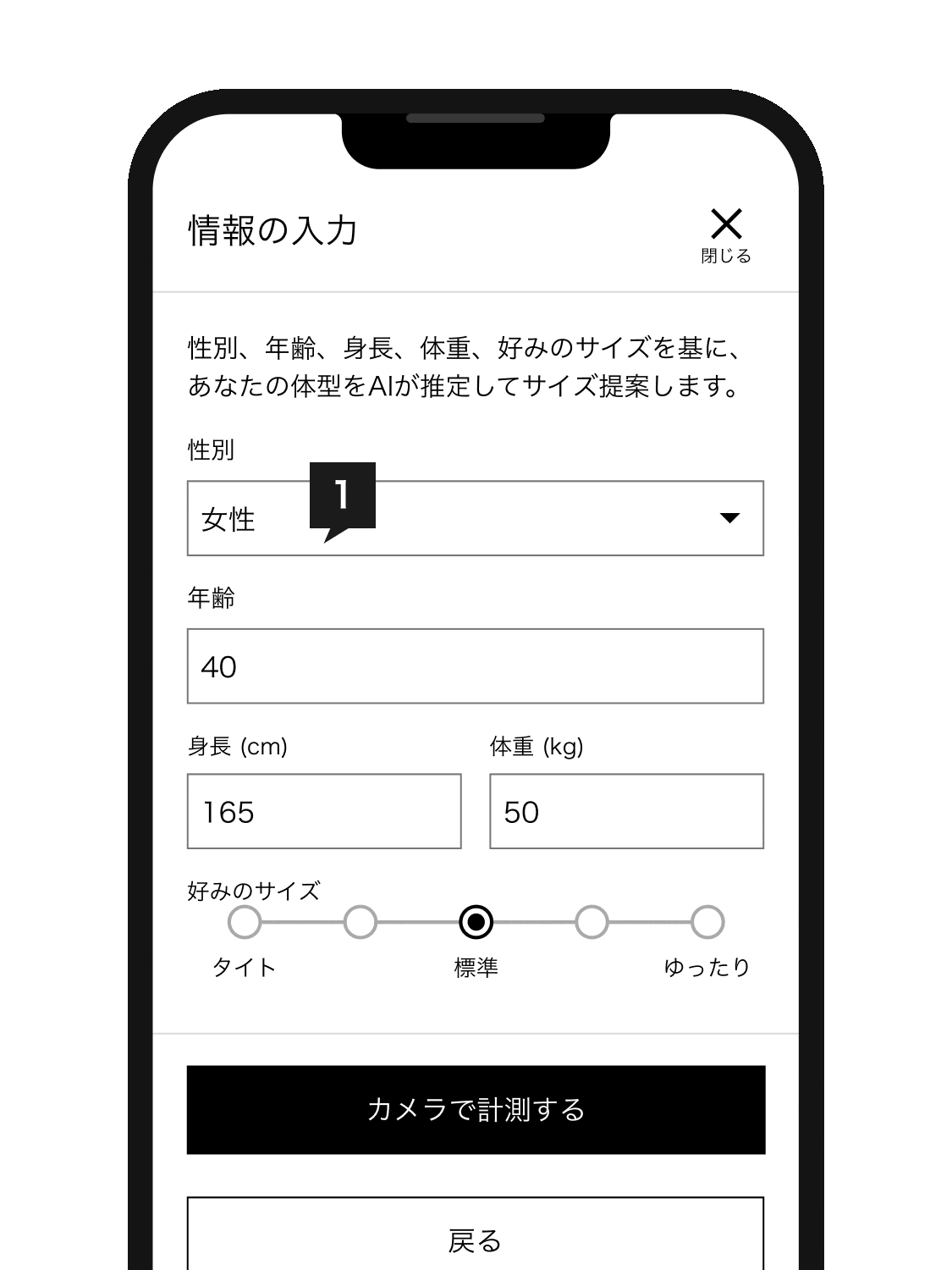 5つの項目を入力