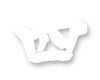 四