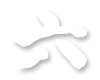 六