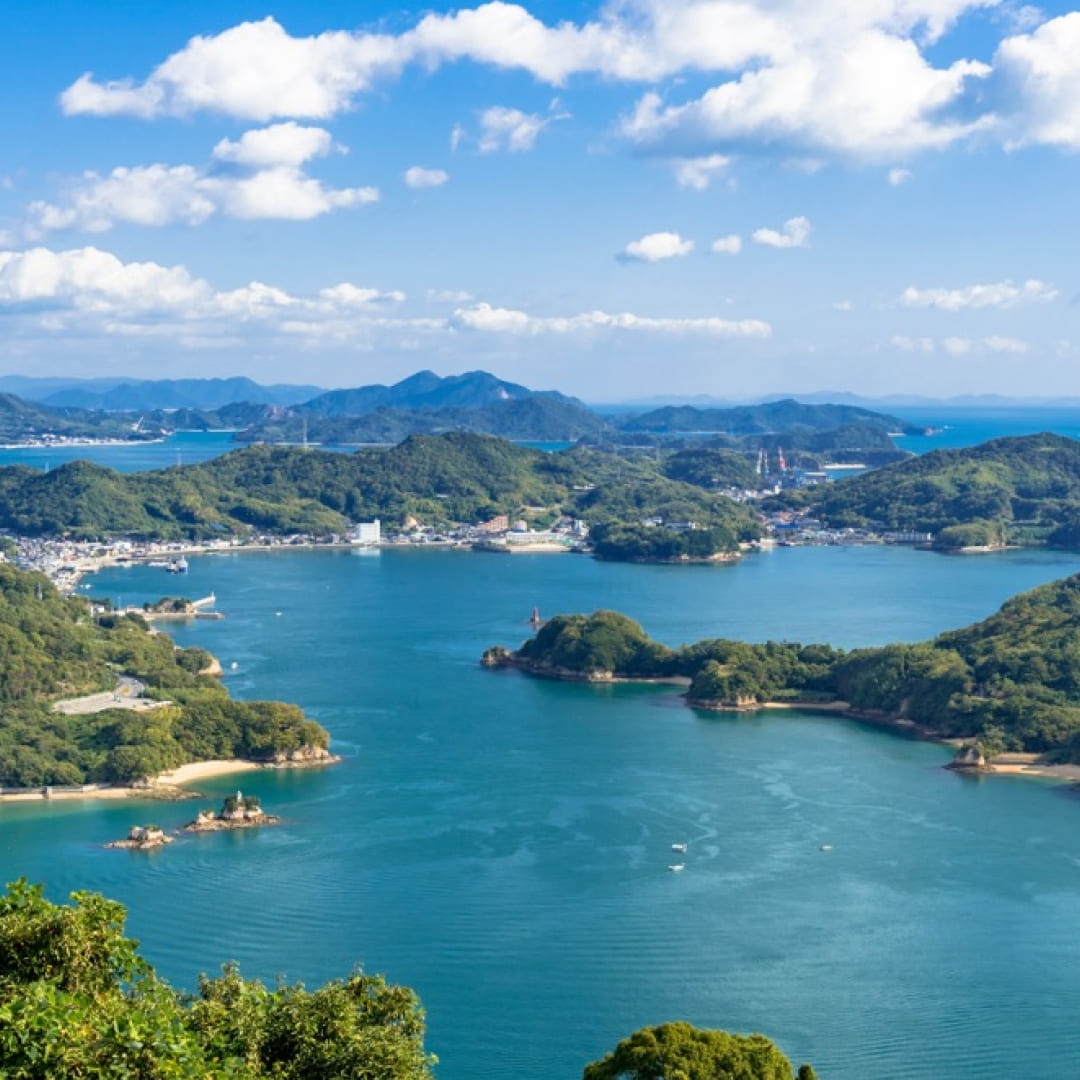 オリーブとスナメリに込めた想い