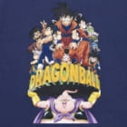 Buu Arc