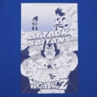 Saiyan Arc