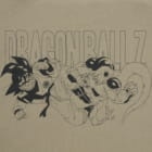 Frieza Arc