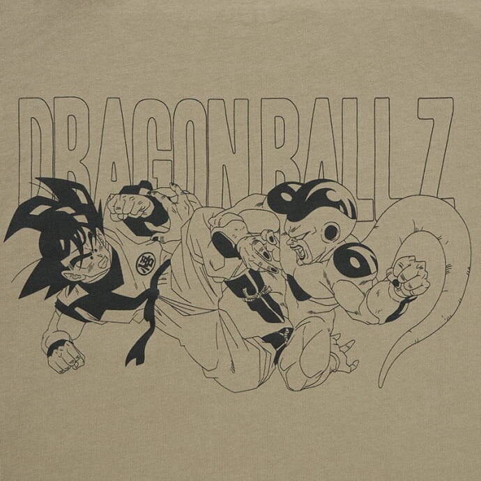Frieza Arc