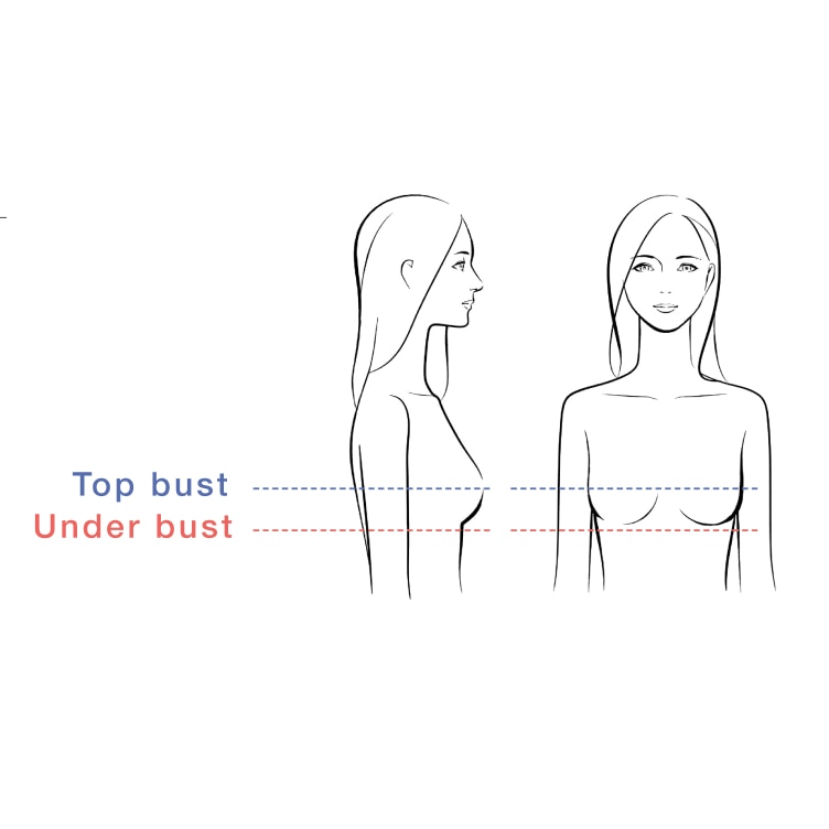 Illustration of top bust and under bust