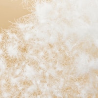 https://image.uniqlo.com/UQ/ST3/kr/imagesgoods/486176/feature/krgoods_486176_feature1.jpg
