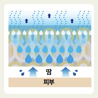 Sweat evaporates easily