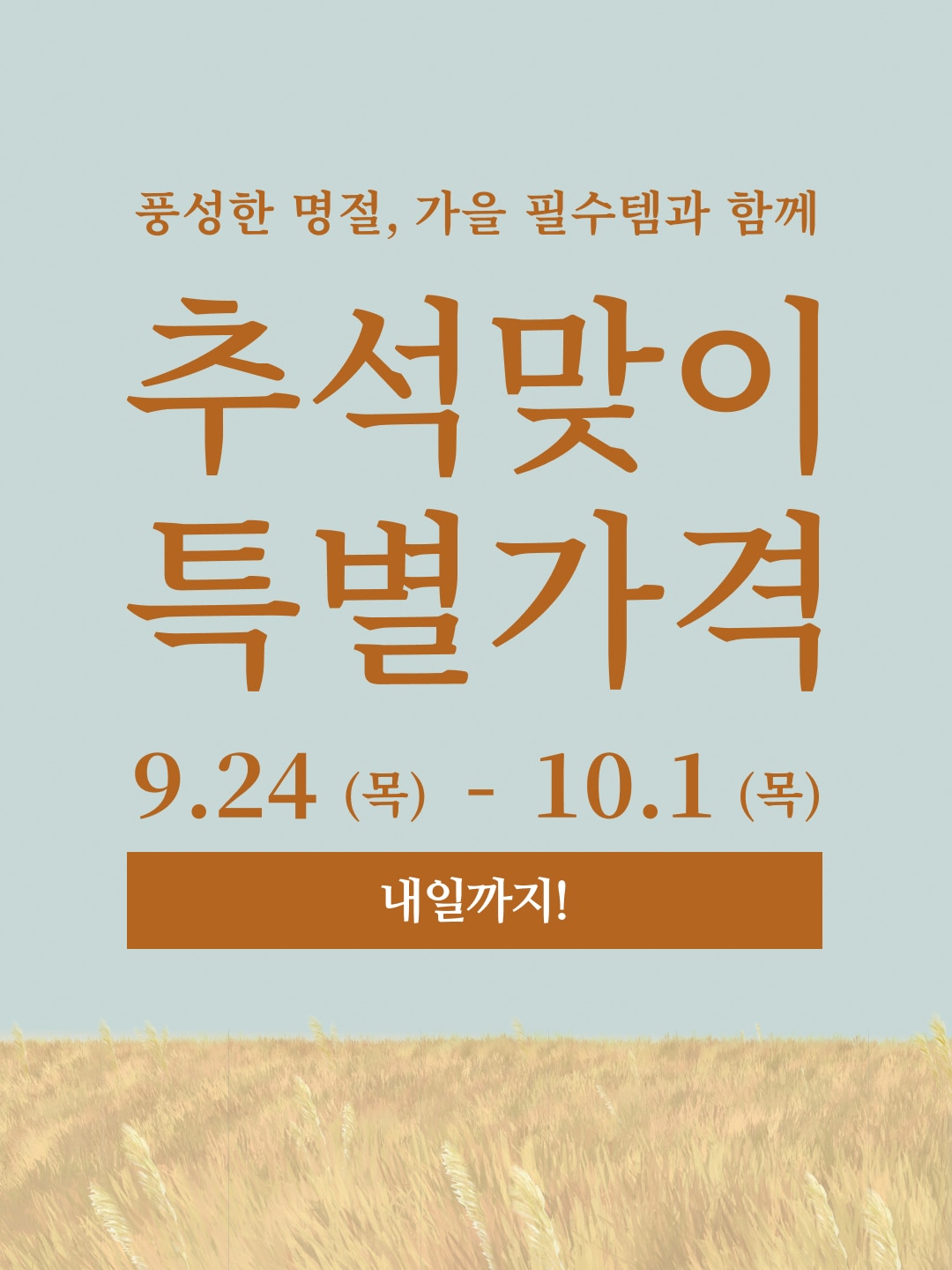 추석맞이 특별가격