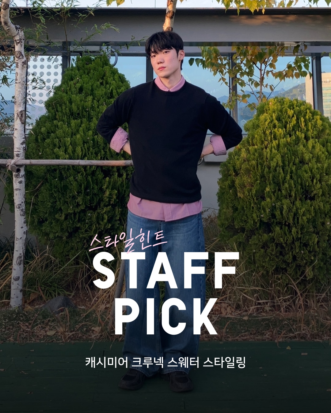 유니클로 스테프 강력 추천 코디