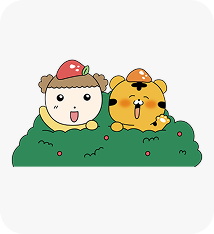 마루와코코