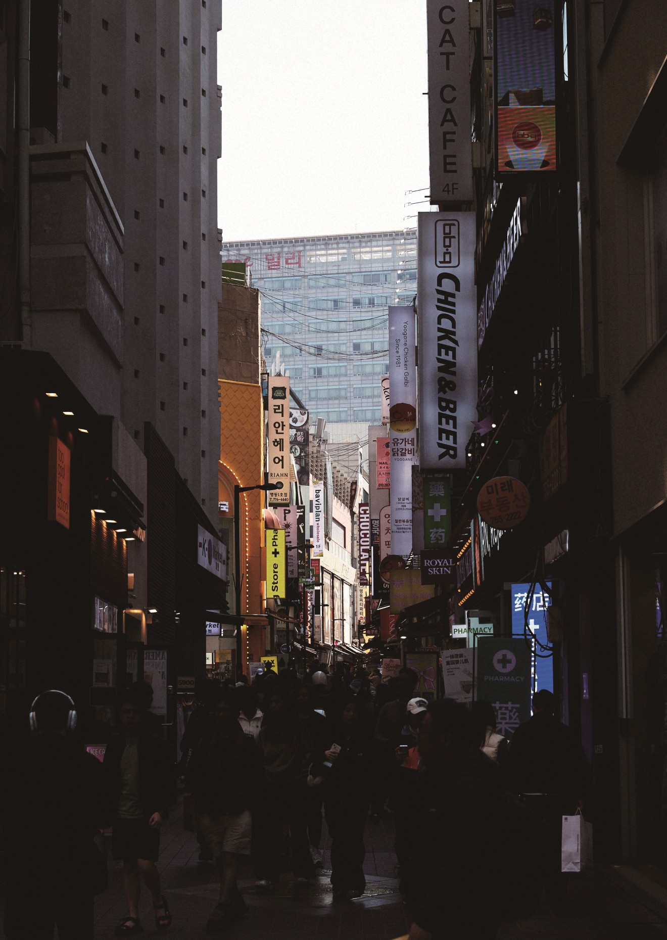 신점 명동 화보