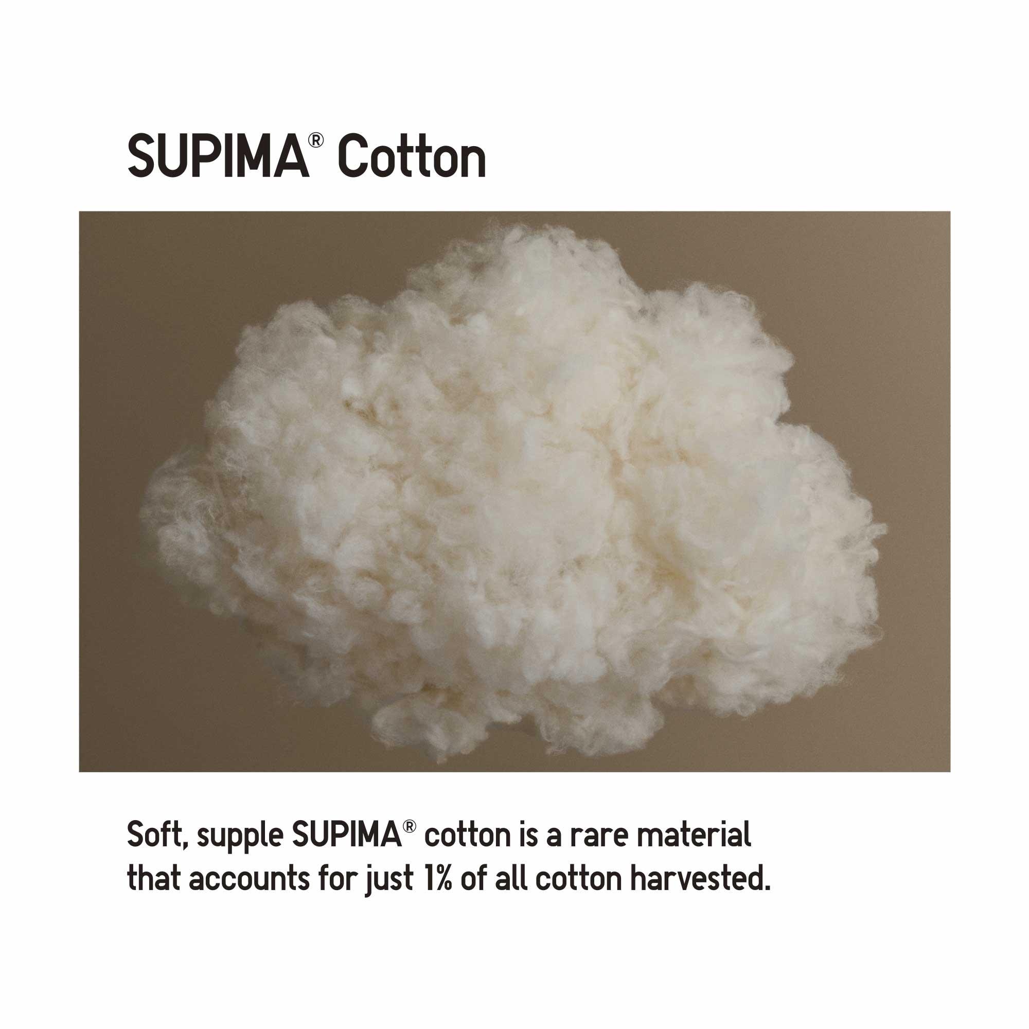 Cập nhật với hơn 77 về uniqlo supima cotton tshirt review mới nhất   cdgdbentreeduvn