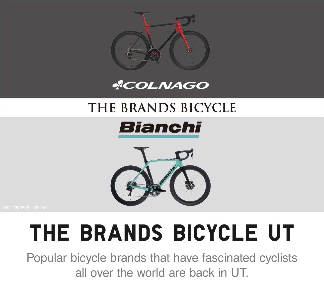 THE BRANDS BICYCYLE UT