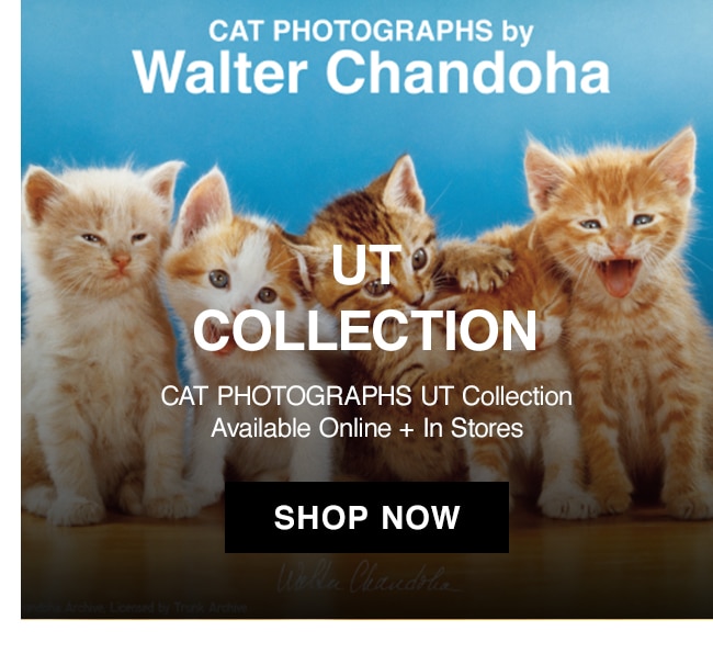 UT COLLECTION BANNER