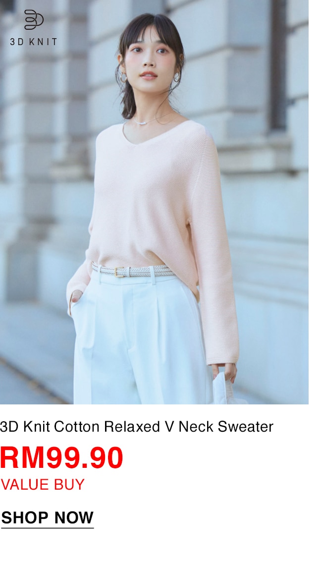 3D Knit Cotton Relaxed V Neck Sweater