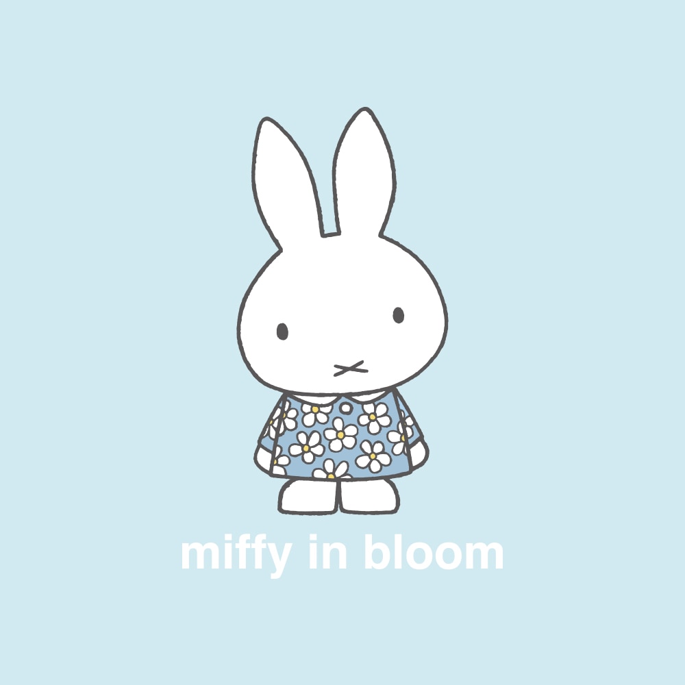 Lineup miffy in bloom