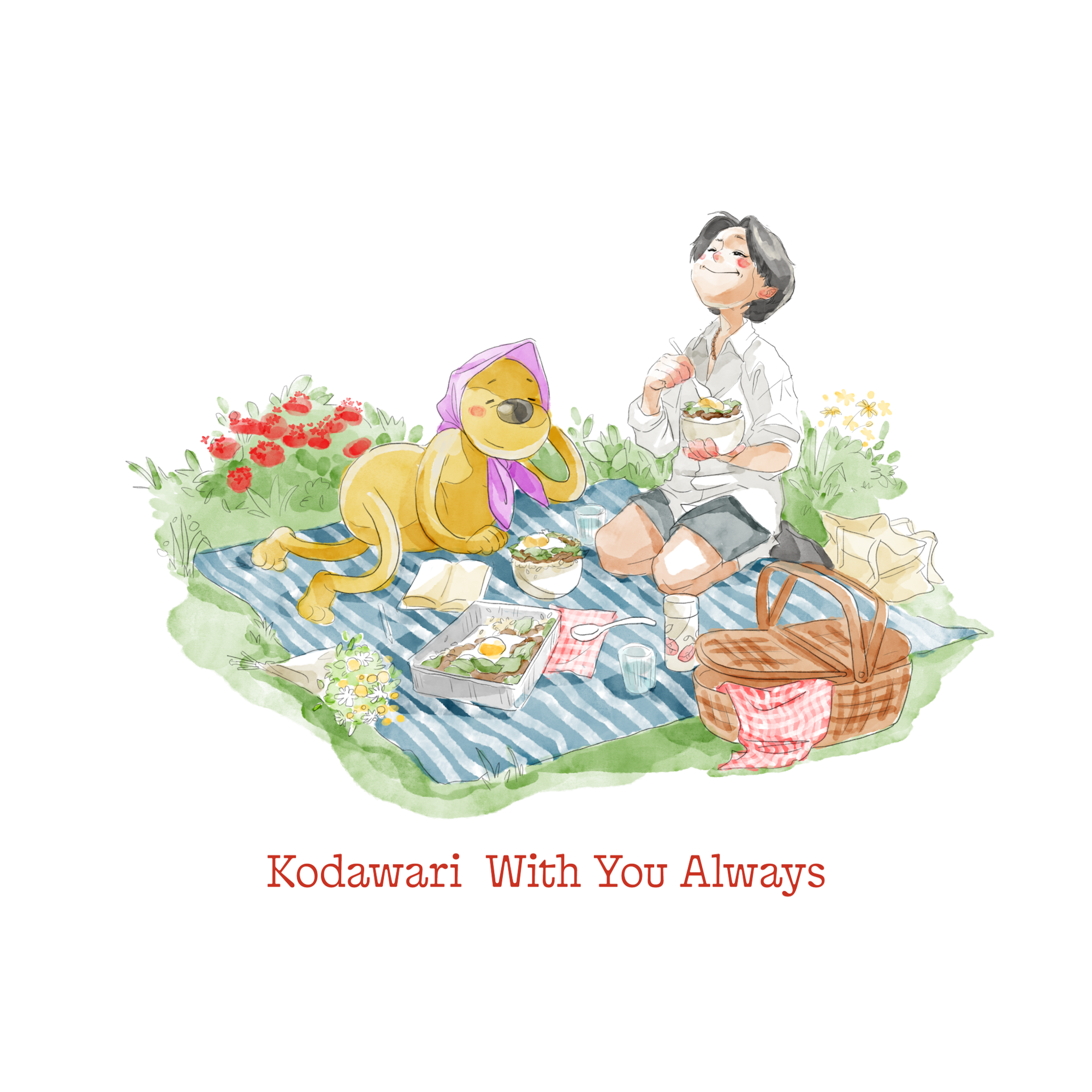 studio dialogo banner