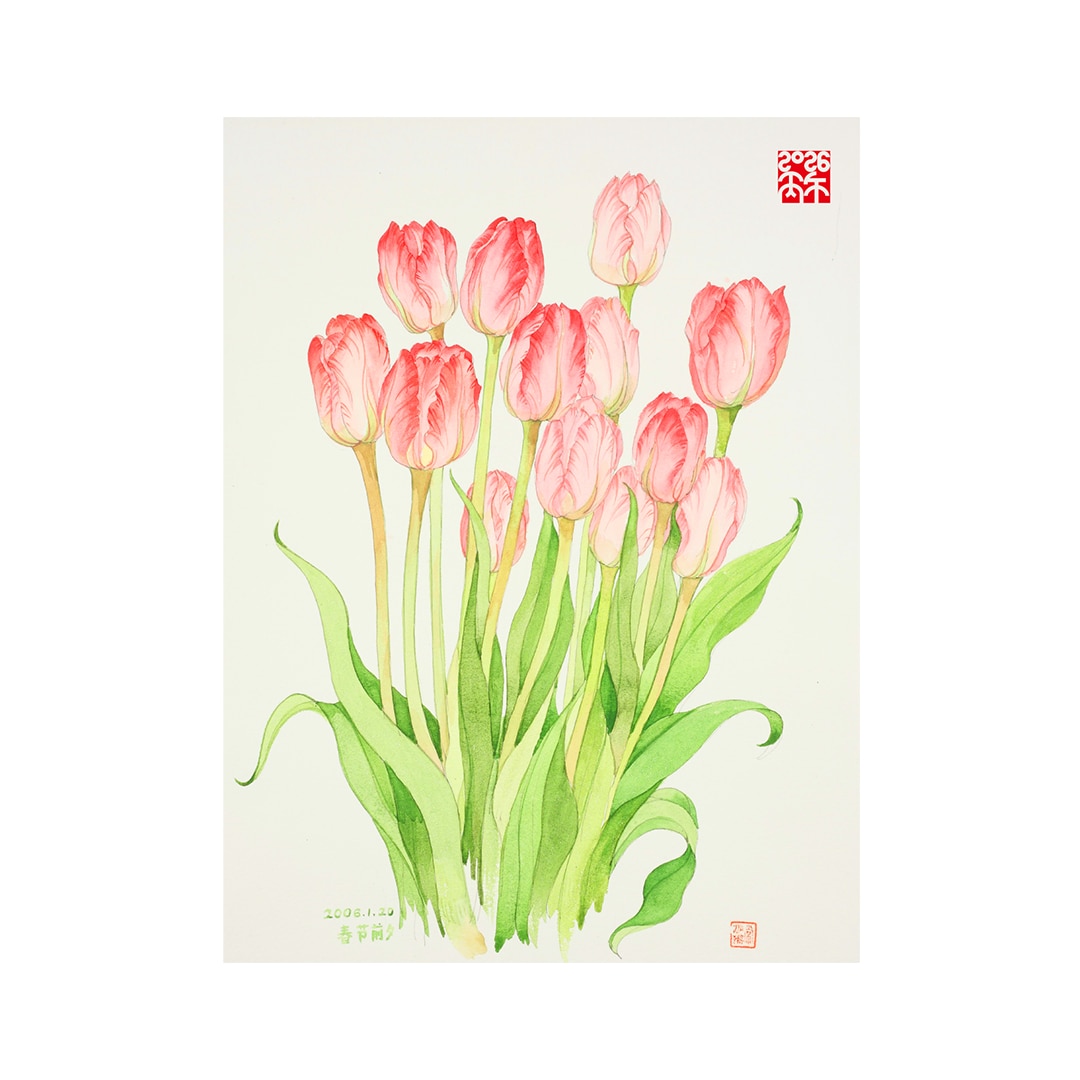 studio dialogo banner