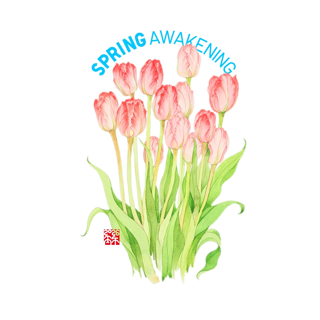 studio dialogo banner