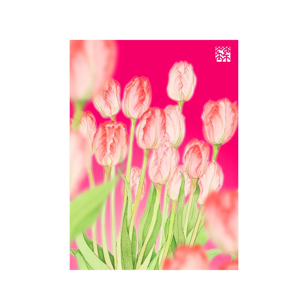 studio dialogo banner