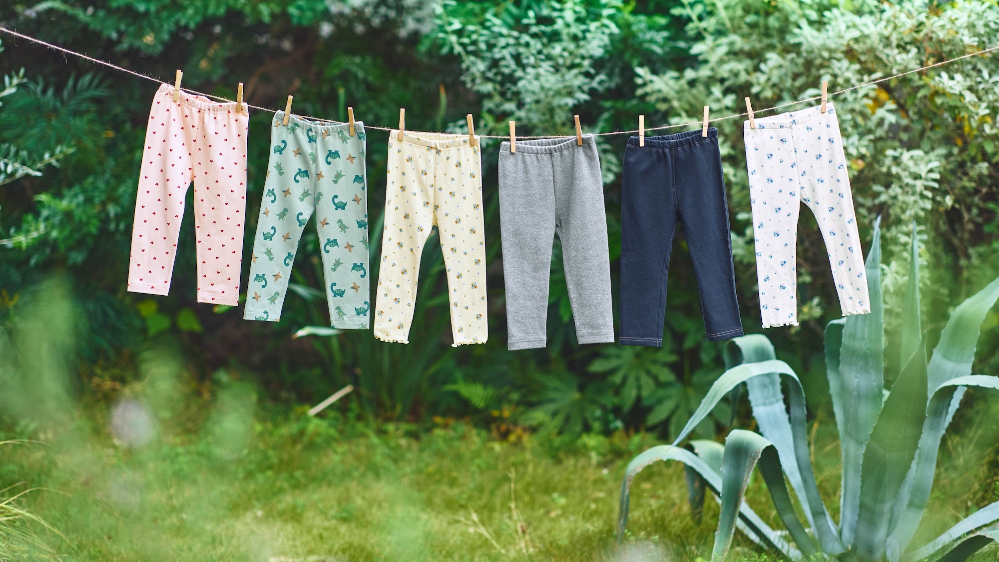 Leggings & Shorts Collection