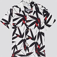HAWAII_BOYS_SHIRT