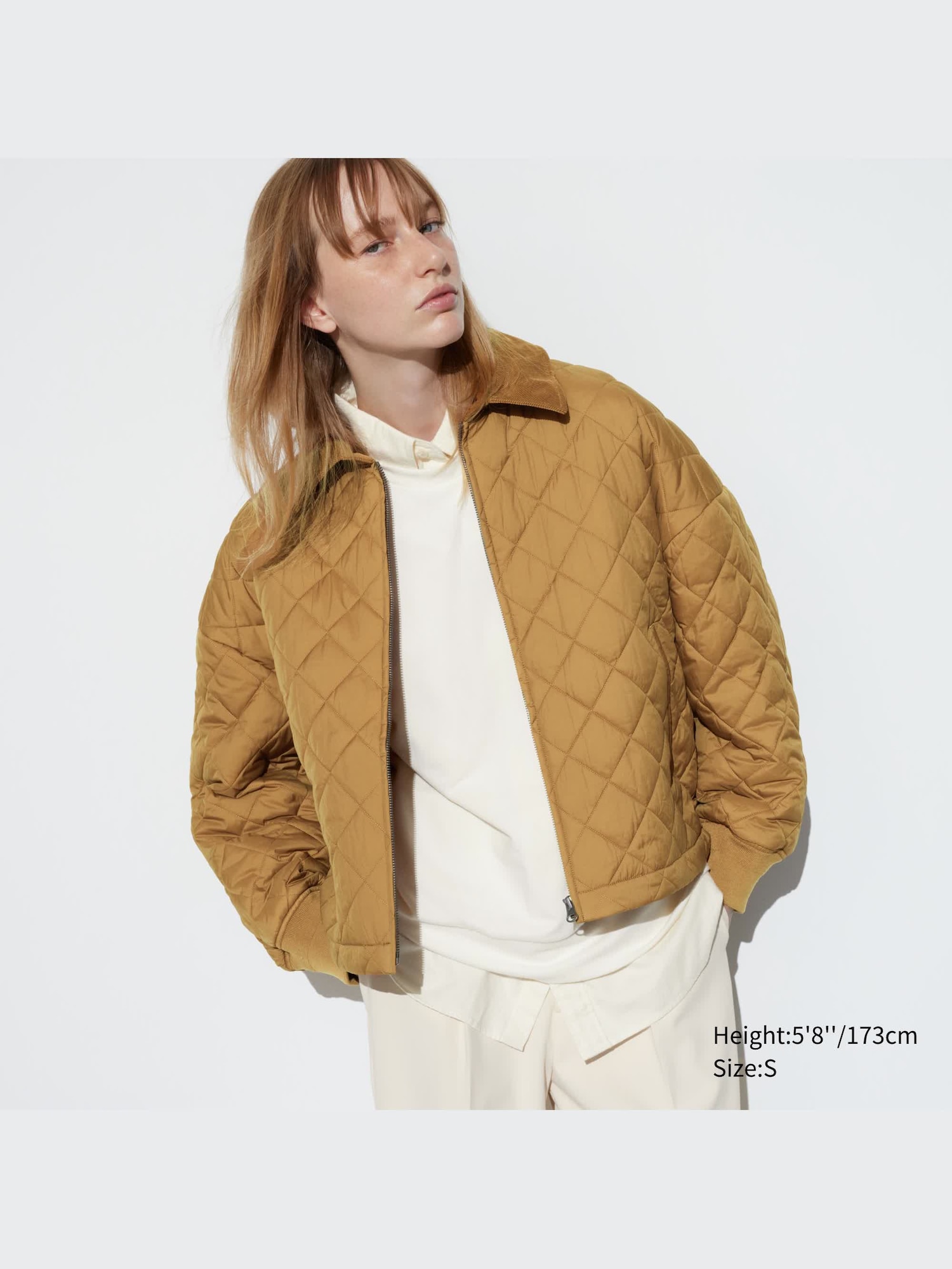 PUFFTECH Blouson (Warm Padded) | UNIQLO US