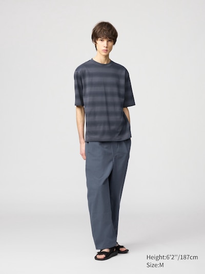 AIRism Cotton Oversized T-Shirt | Half Sleeve | Striped