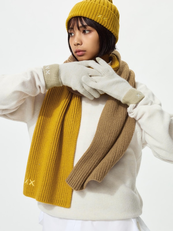 KAWS WINTER HEATTECH Knitted Gloves