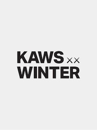 KAWS WINTER